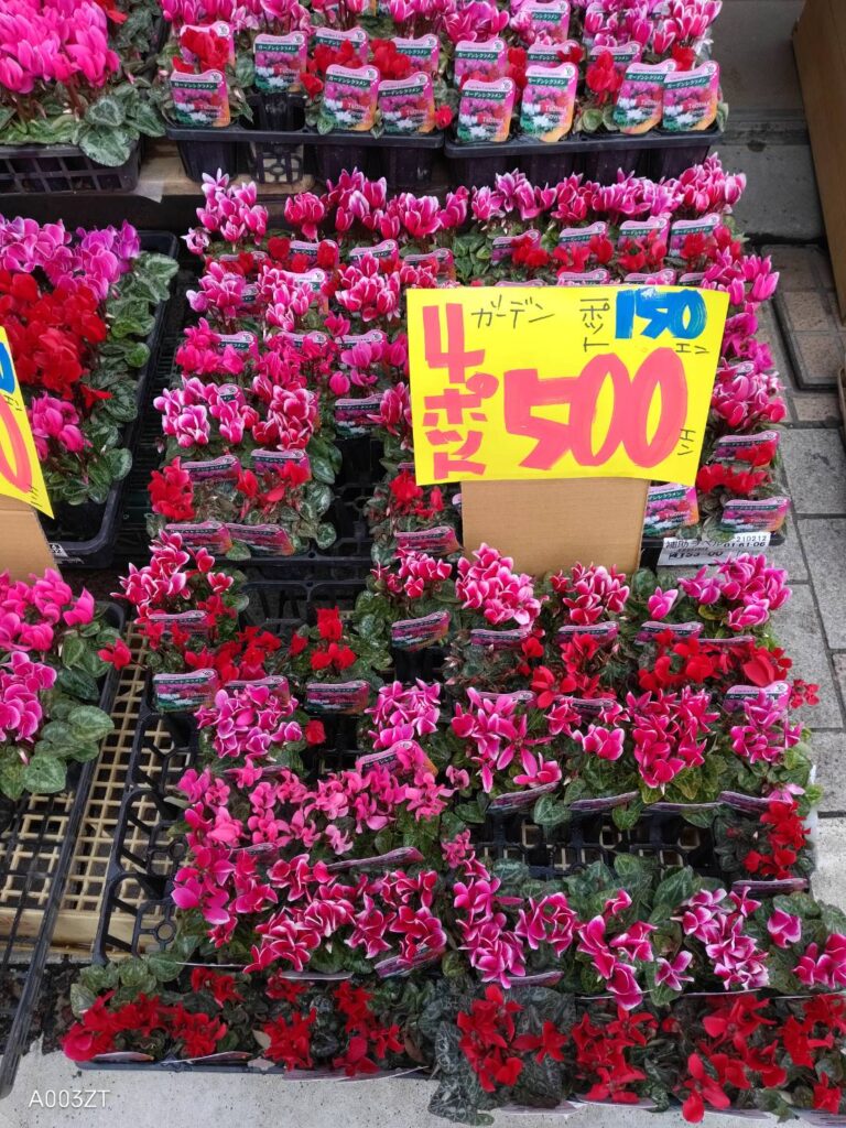 戸越銀座商店街のお花屋さん　セール